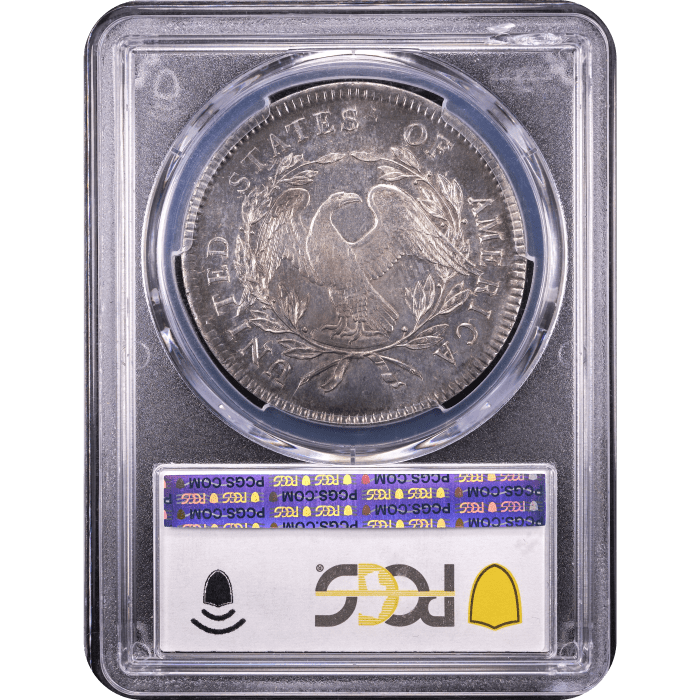 1795 Flowing Hair Dollar ($1) 3 Leaves Reverse Slab Image
