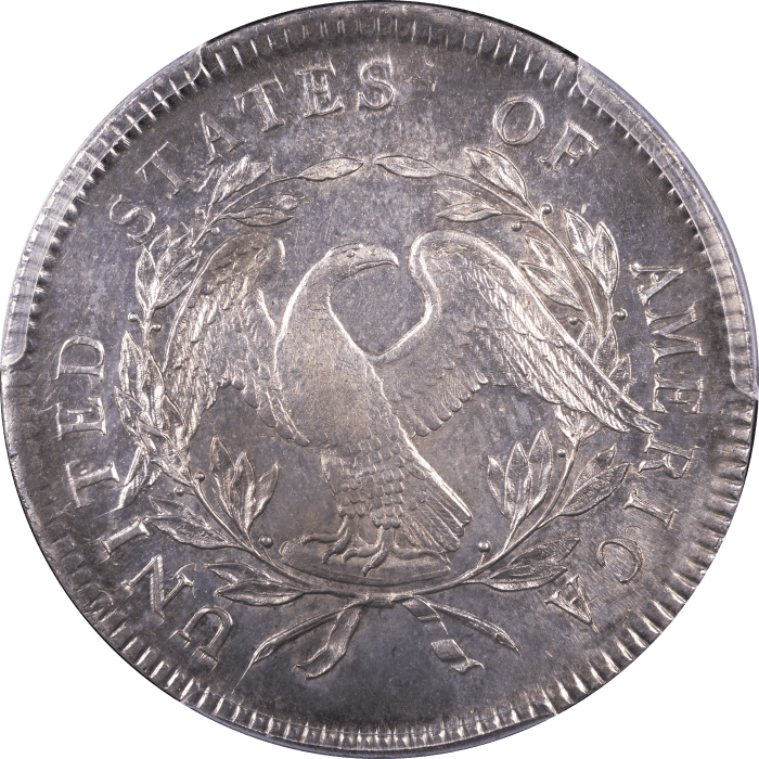 1795 Flowing Hair Dollar ($1) 3 Leaves Reverse Image