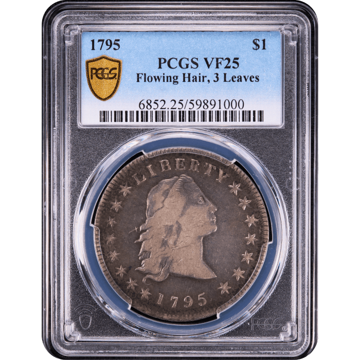 1795 Flowing Hair Dollar ($1) 3 Leaves Obverse Slab Image