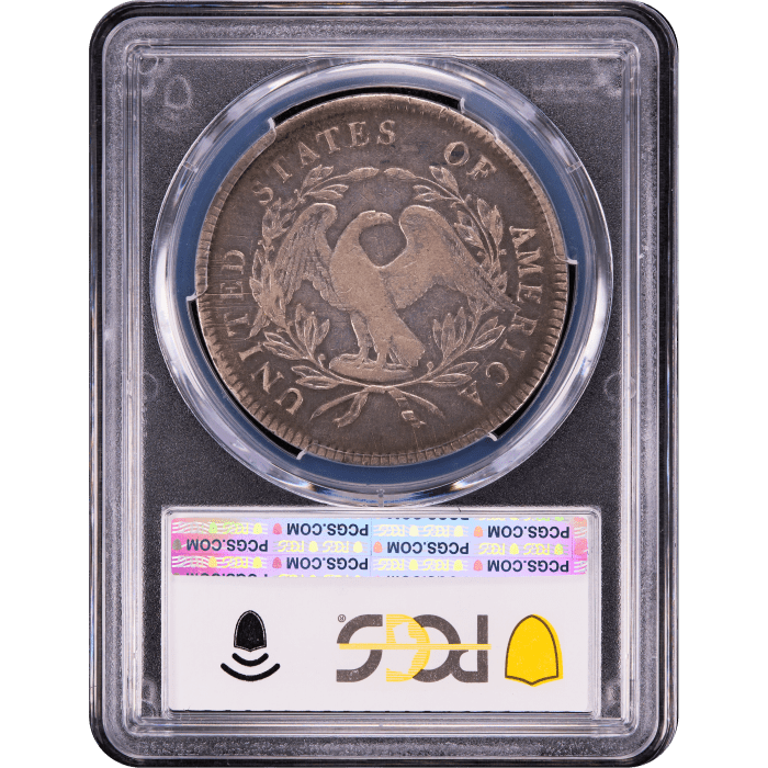 1795 Flowing Hair Dollar ($1) 3 Leaves Reverse Slab Image