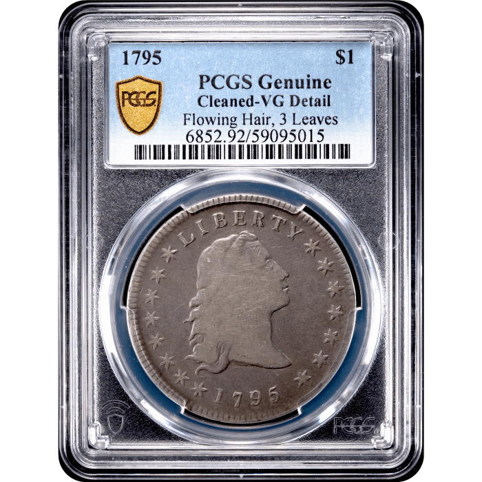 1795 Flowing Hair Dollar ($1) 3 Leaves SLAB Image