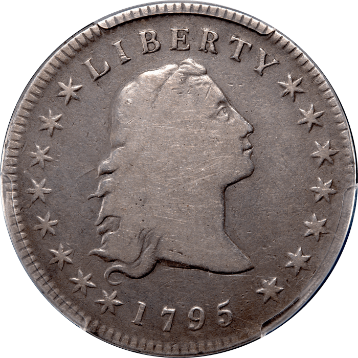 1795 Flowing Hair Dollar ($1) 3 Leaves Obverse Image