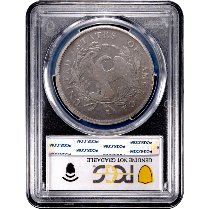 1795 Flowing Hair Dollar ($1) 3 Leaves Reverse Slab Image