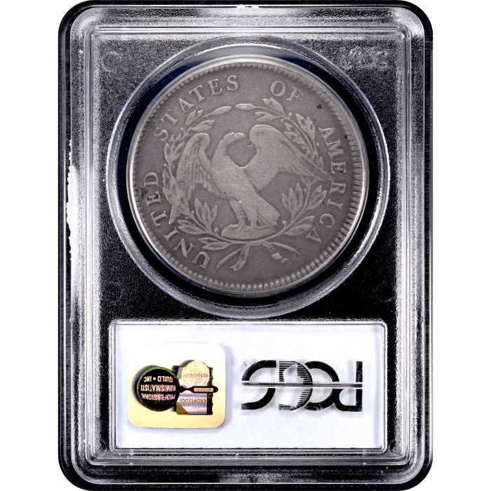 1795 Flowing Hair Dollar ($1) 3 Leaves SLAB Image