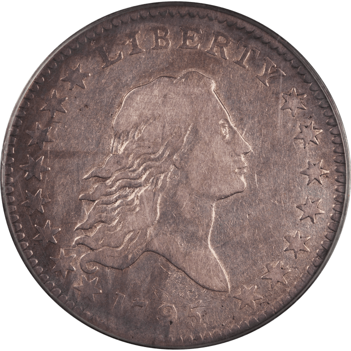 1795 Flowing Hair Half Dollar (50c) 2 Leaves Obverse Image