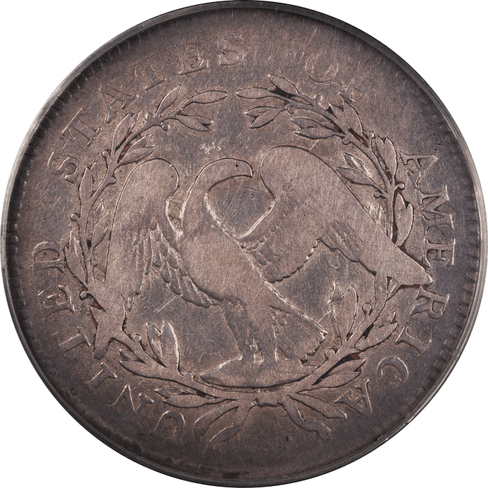 1795 Flowing Hair Half Dollar (50c) 2 Leaves Reverse Image