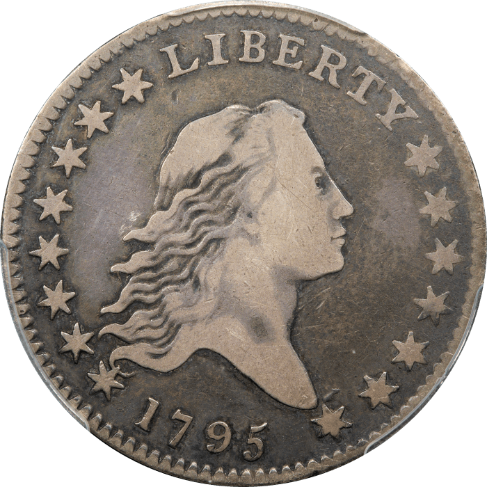 1795 Flowing Hair Half Dollar (50c) O-119 Obverse Image