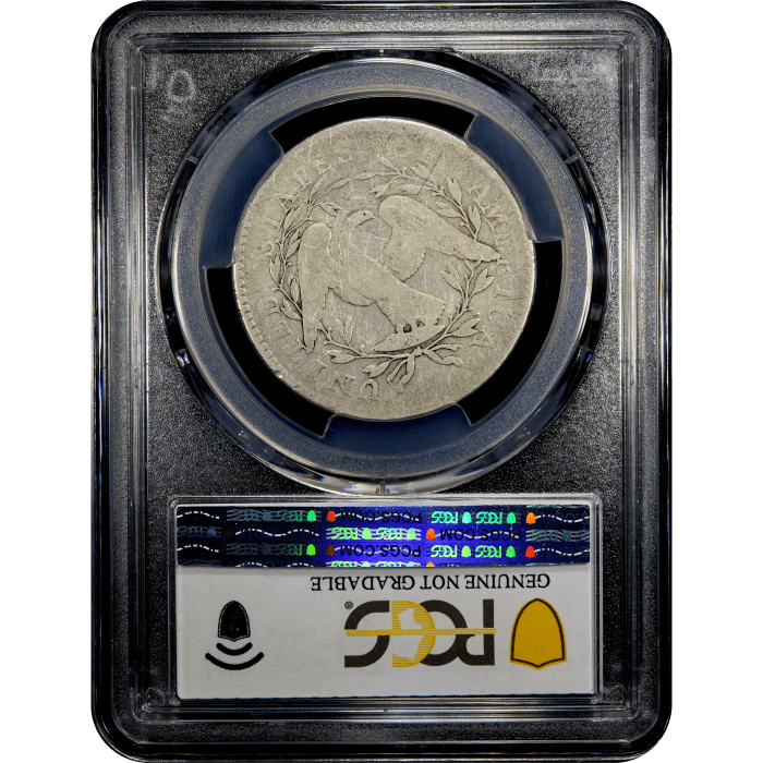 1795 Flowing Hair Half Dollar (50c) Reverse Slab Image