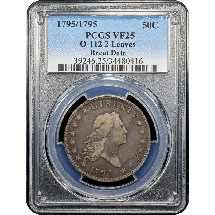 1795/1795 Flowing Hair Half Dollar (50c) 2 Leaves Recut Date Obverse Slab Image