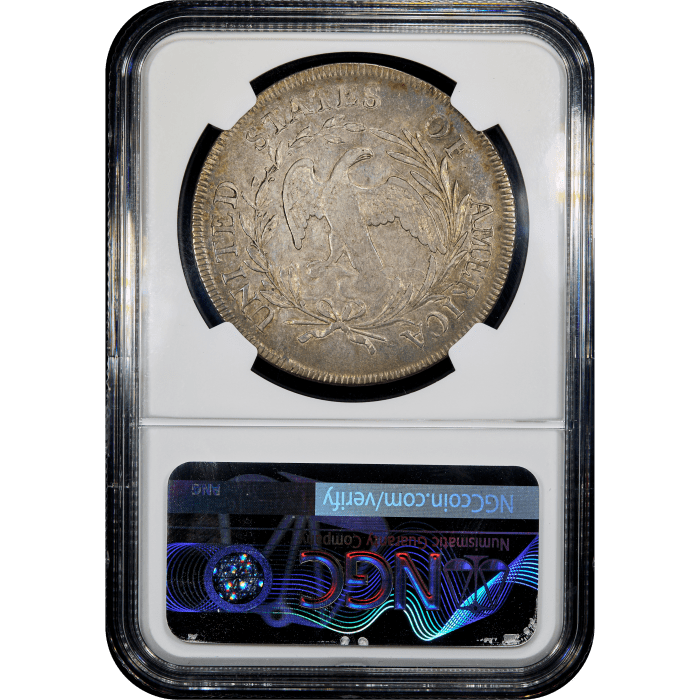 1796 Draped Bust Dollar ($1) Small Date Large Letters Reverse Slab Image