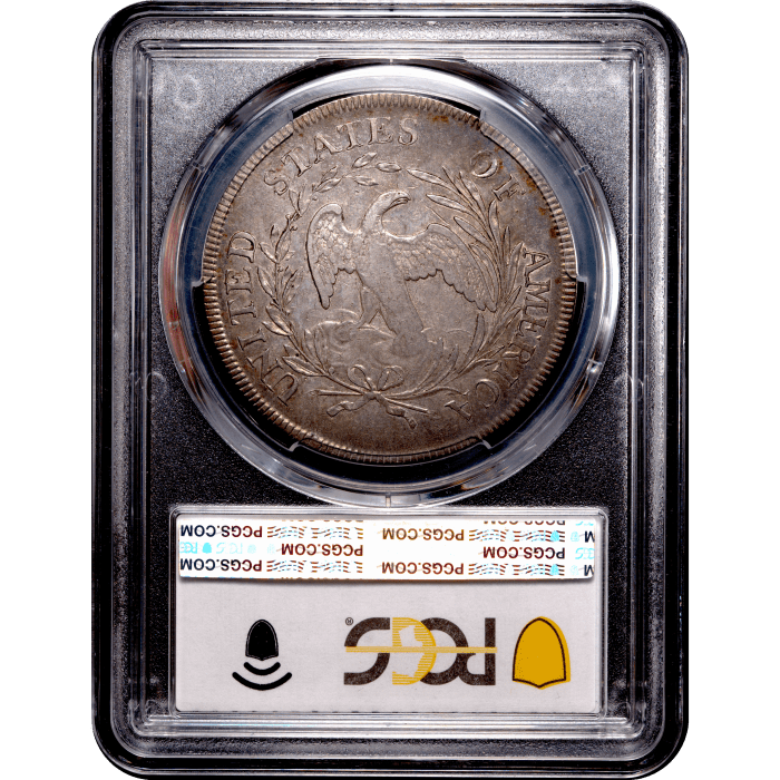 1796 Draped Bust Dollar ($1) Small Date Large Letters Reverse Slab Image