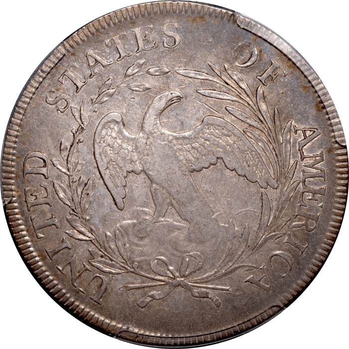 1796 Draped Bust Dollar ($1) Small Date Large Letters Reverse Image
