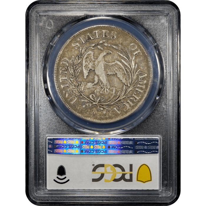 1797 Draped Bust Dollar ($1) 10x6 Stars Reverse Slab Image