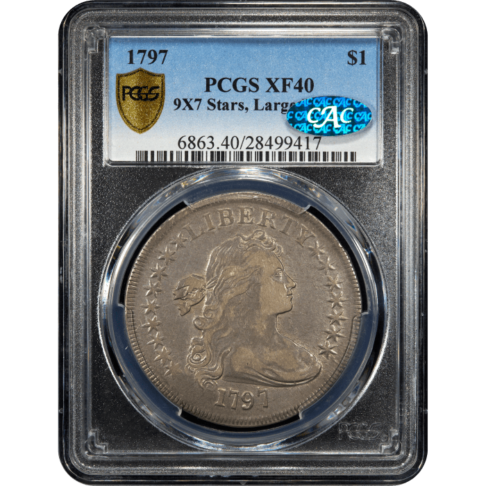 1797 Draped Bust Dollar ($1) 9x7 Stars Large Letters Obverse Slab Image