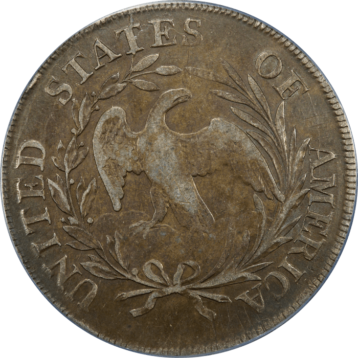 1798 Draped Bust Dollar ($1) Small Eagle, 13 Stars REVERSE Image