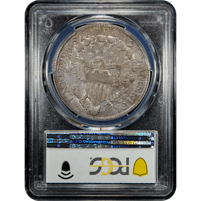 1799 Draped Bust Dollar ($1) BB-162 SLAB Image