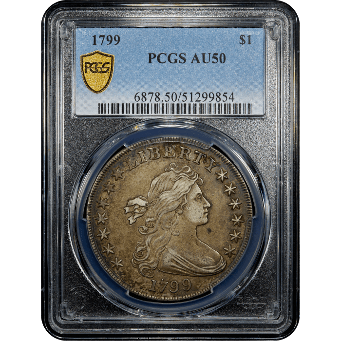 1799 Draped Bust Dollar ($1) SLAB Image