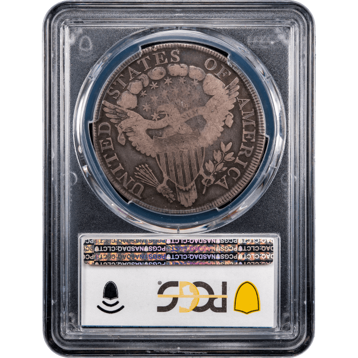 1799/8 Draped Bust Dollar ($1) 15 Reverse Stars Reverse Slab Image