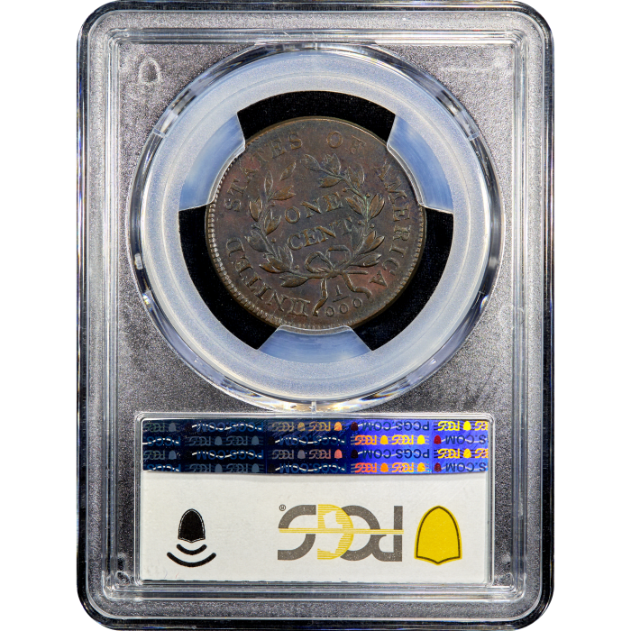 1801 Draped Bust Large Cent (1c) 3 Errors Reverse Reverse Slab Image