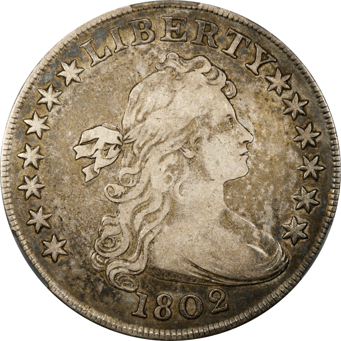 1802 Draped Bust Dollar ($1) Wide Date Obverse Image