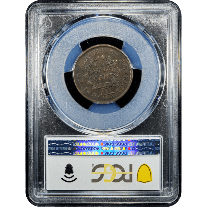 1804 Draped Bust Half Cent (1/2c) Plain 4 No Stems Reverse Slab Image