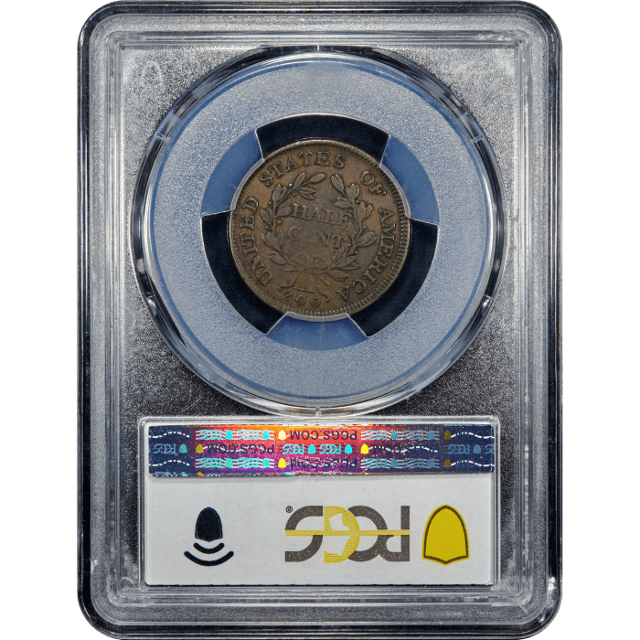 1804 Draped Bust Half Cent (1/2c)  Plain 4 Stems SLAB Image