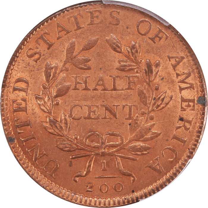 1806 Draped Bust Half Cent (1/2c) Large 6, Stems REVERSE Image