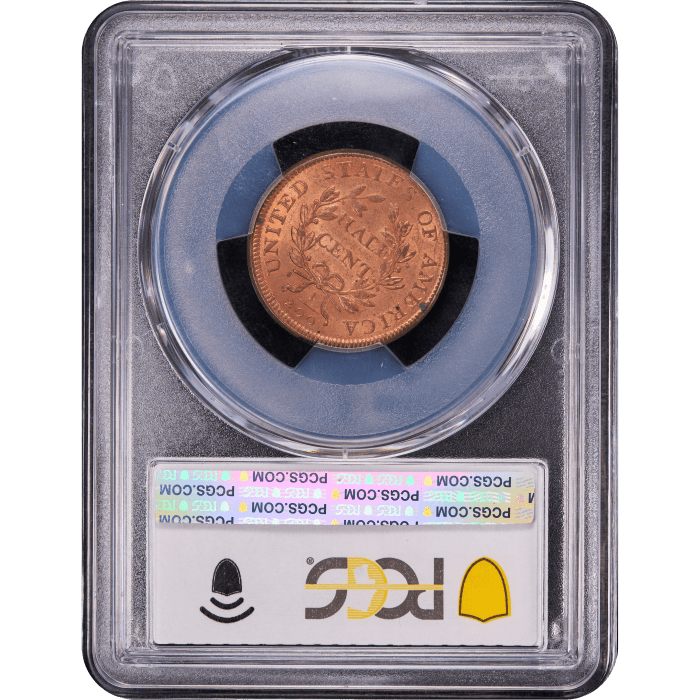 1806 Draped Bust Half Cent (1/2c) Large 6, Stems Reverse Slab Image