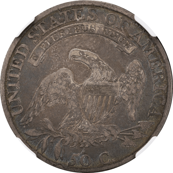 1809 Capped Bust Half Dollar (50c) III Edge Reverse Image