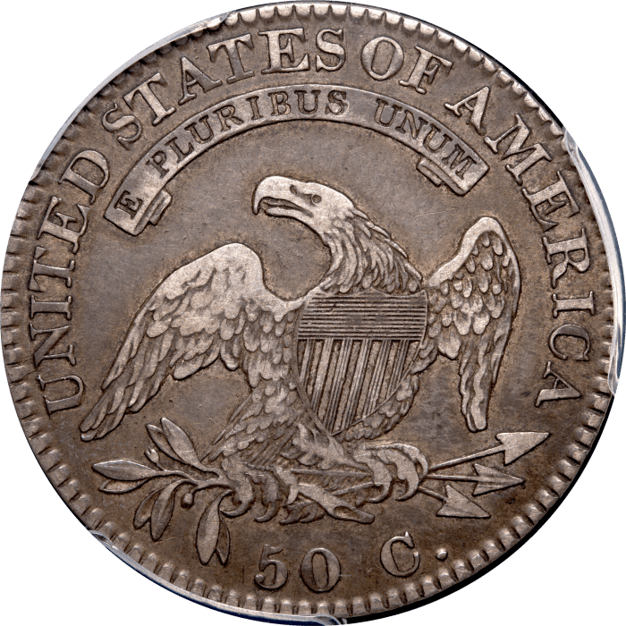 1822 Capped Bust Half Dollar (50c) O-109 Reverse Image