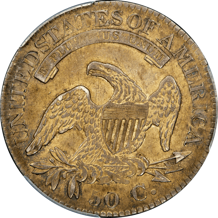 1824 Capped Bust Half Dollar (50c) REVERSE Image