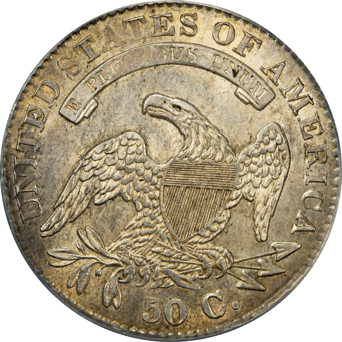 1831 Capped Bust Half Dollar (50c) REVERSE Image