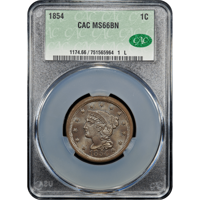 1854 Braided Hair Large Cent (1c) SLAB Image