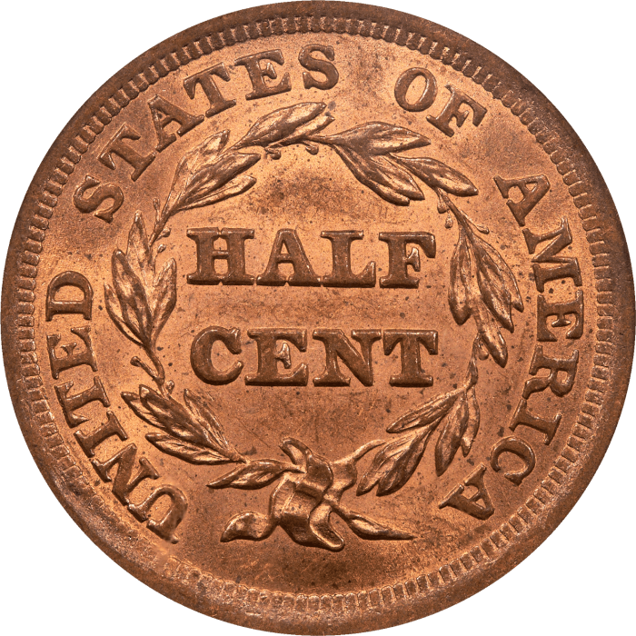 1855 Braided Hair Half Cent (1/2c) REVERSE Image