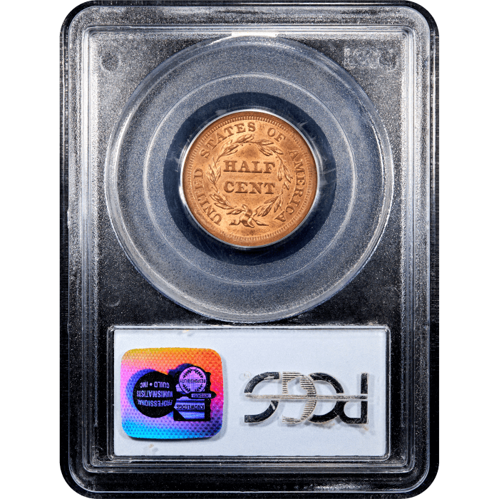 1855 Braided Hair Half Cent (1/2c) SLAB Image