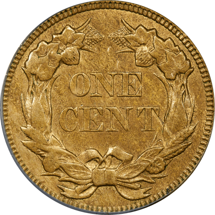 1857 Flying Eagle Cent (1c) REVERSE Image