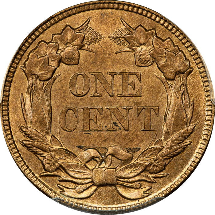 1857 Flying Eagle Cent (1c) REVERSE Image