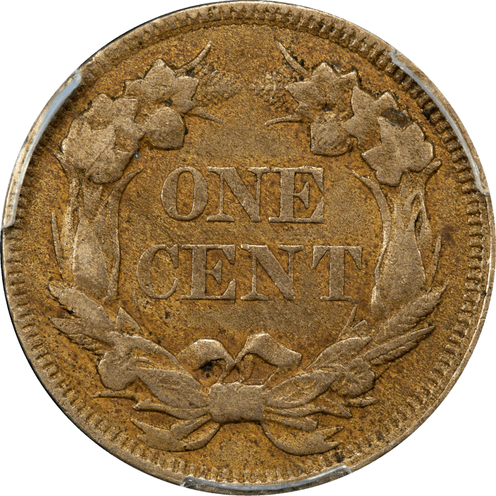 1857 Flying Eagle Cent (1c) REVERSE Image