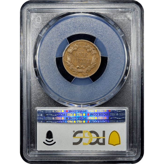 1857 Flying Eagle Cent (1c) Reverse Slab Image