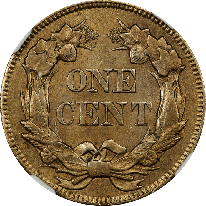 1858 Flying Eagle Cent (1c) Small Letters REVERSE Image