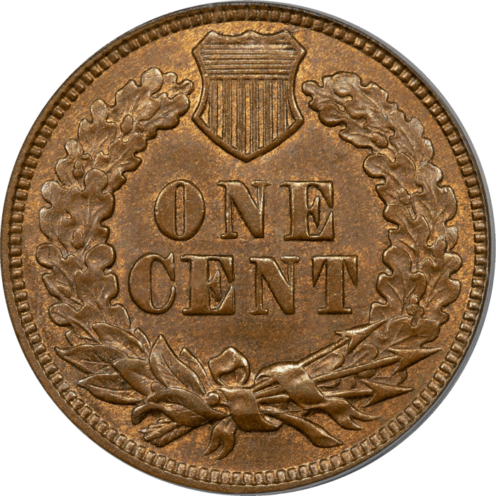 1870 Indian Cent (1c) Reverse Image