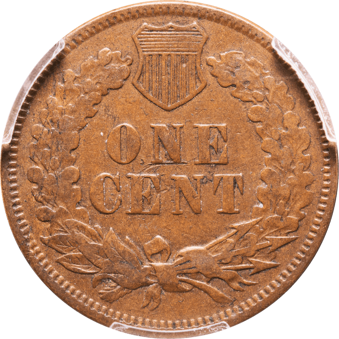 1873 Indian Cent (1c) Doubled Liberty REVERSE Image