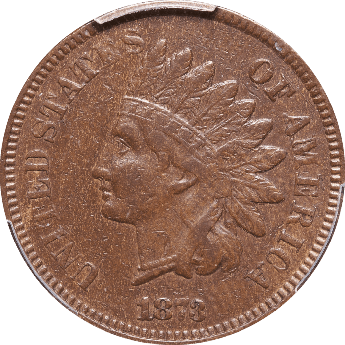 1873 Indian Cent (1c) Doubled Liberty OBVERSE Image