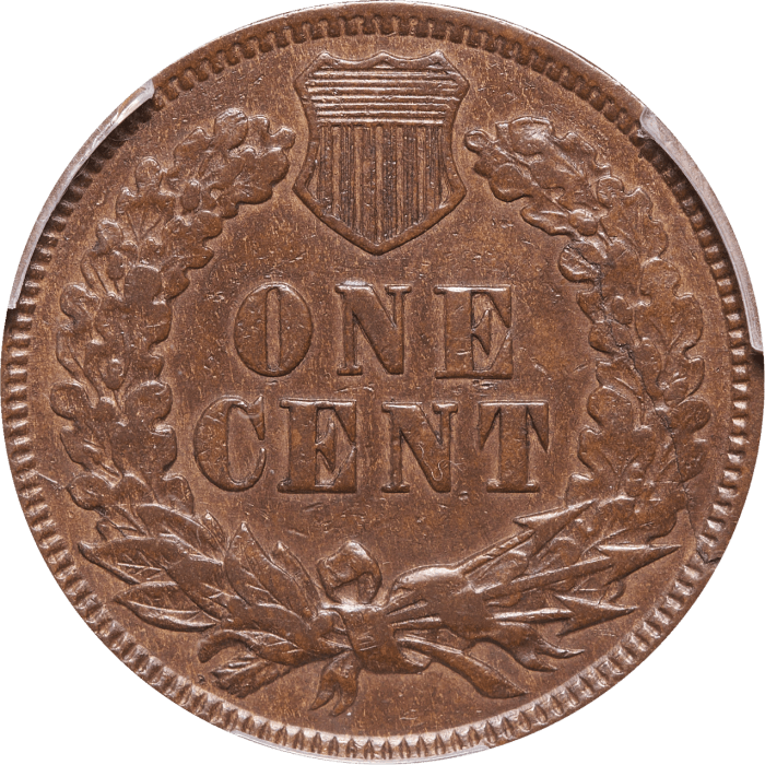 1873 Indian Cent (1c) Doubled Liberty REVERSE Image
