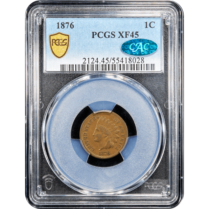 1876 Indian Cent (1c) SLAB Image