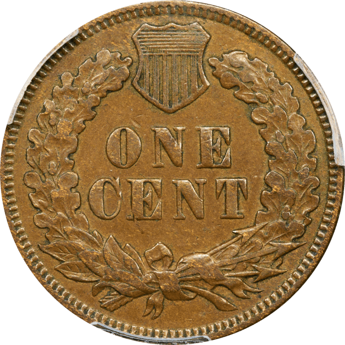 1876 Indian Cent (1c) REVERSE Image