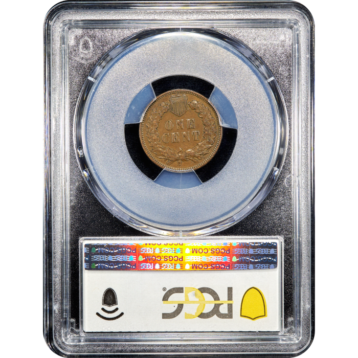 1876 Indian Cent (1c) SLAB Image