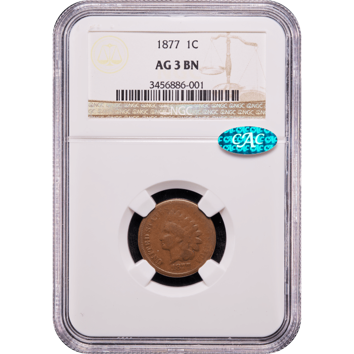 1877 Indian Cent (1c) Obverse Slab Image