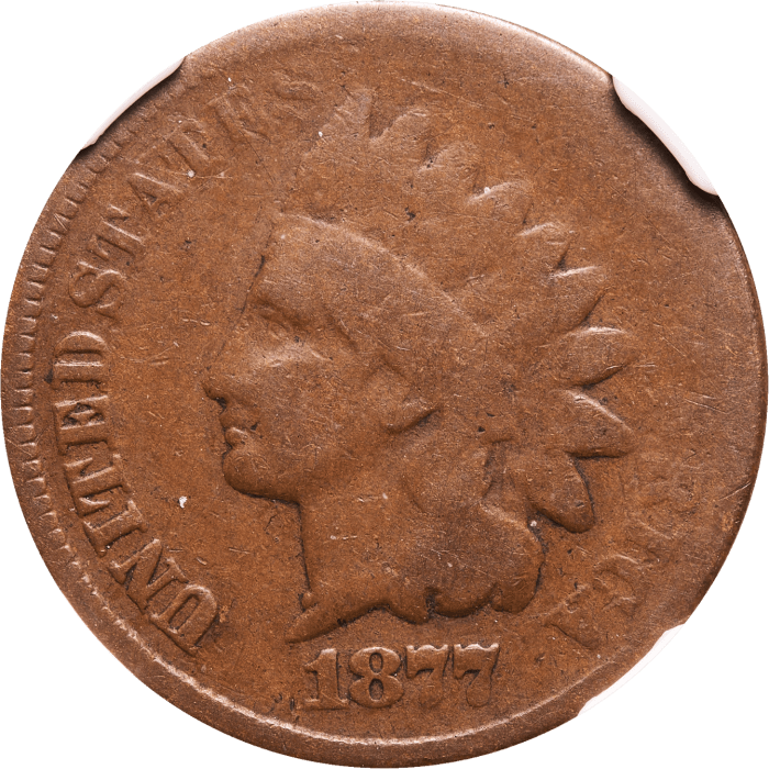 1877 Indian Cent (1c) Obverse Image