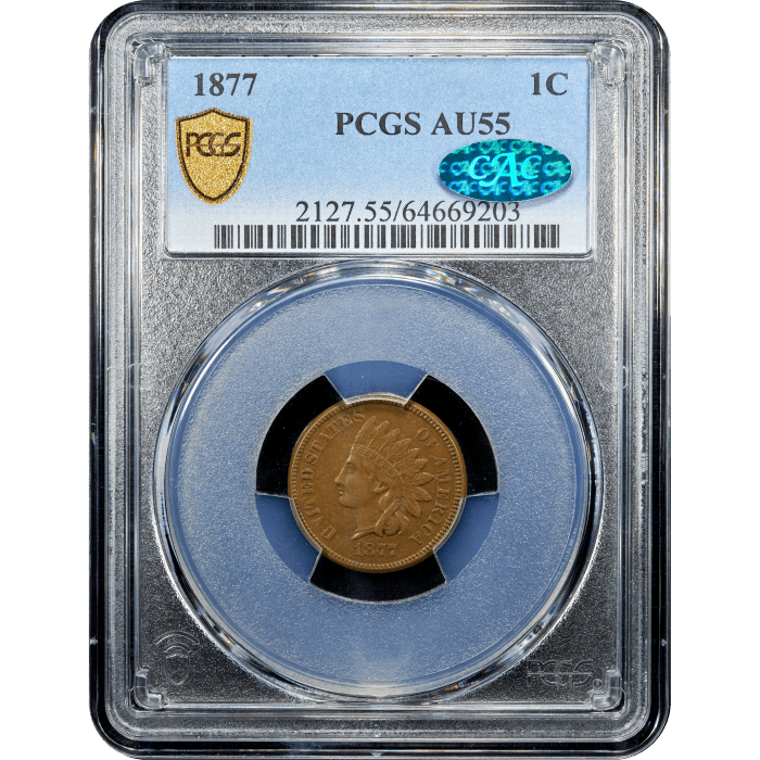 1877 Indian Cent (1c) Obverse Slab Image